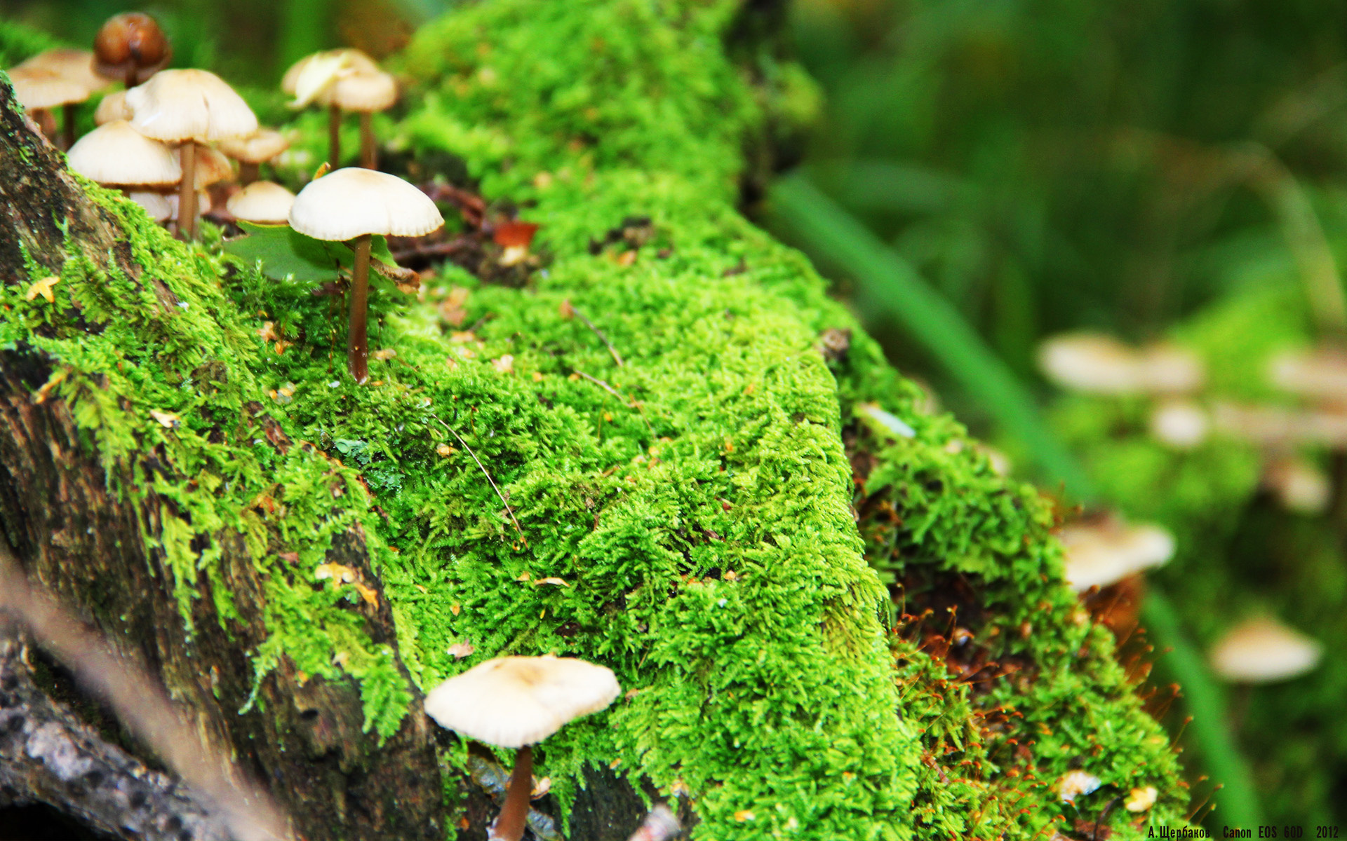 哈登掌控比赛节奏快船全员状态在线，哈登打快船数据